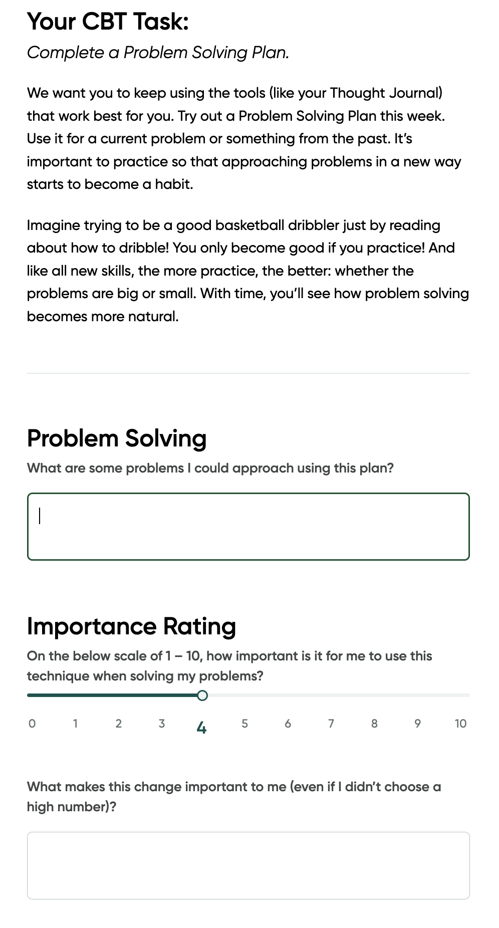 Screen shot of the problem solving exercise